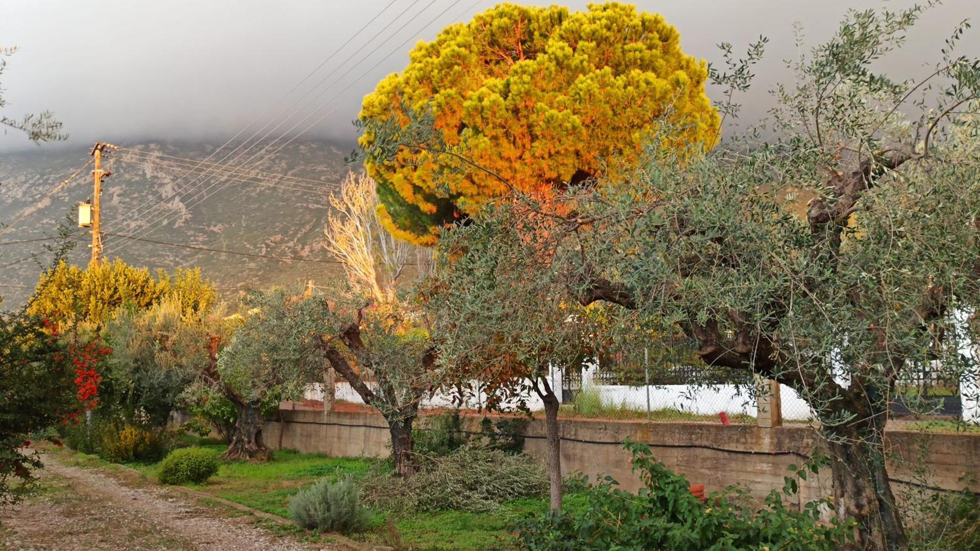 Nafpaktos Cottage By The Sea For Travelers And Dreamers! Экстерьер фото